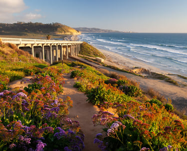 San Diego coastline