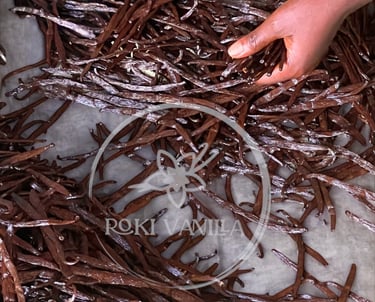 100% organic vanilla beans