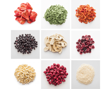 Nine freeze dried food for THM Recipes