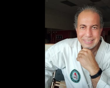 sensei, ali jafari, insrtuctor, beyatt karate, teacher, martial art fitness center
