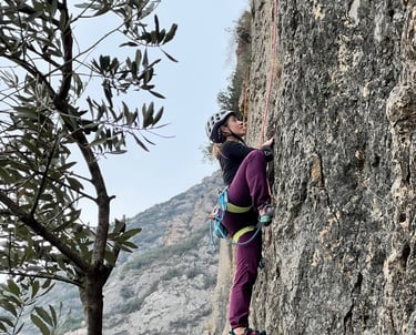 Guia escalada