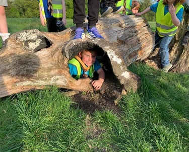 Beaver Scout crawling through a hollow log during an outdoor adventure activity.