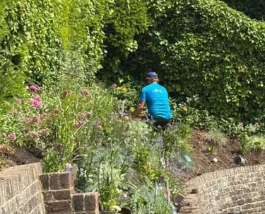 planting scheme on a south facing bank in Meads, Eastbourne, East Sussex