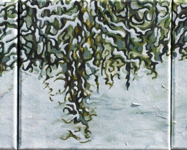 Loamzilla Trail west of Calgary