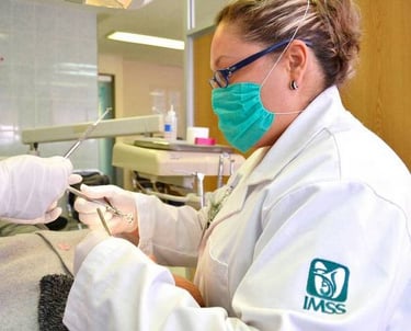 Bolsa de Trabajo IMSS 2025