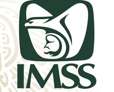 Preguntas frecuentes bolsa de trabajo imss bienestar plazas IMSS BIENESTAR