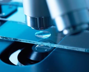 microscopio