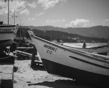 A Memória das Linhas