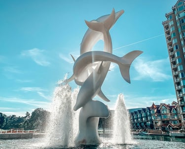 Aging in Place Planning in Kelowna