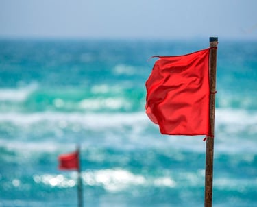 a red flag on a beach with a red flag