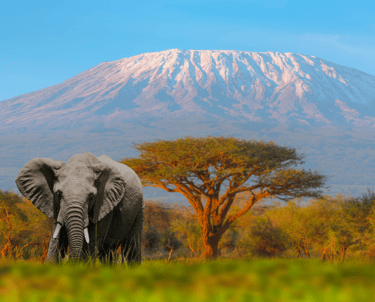 Monte Kilimanjaro
