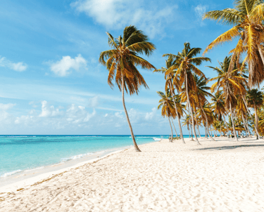 Playa caribeña
