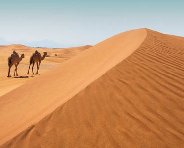 Two dromedary camels walk across the vast orange sand dunes of the Arabian Desert under a clear blue sky.