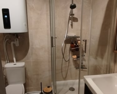 une salle de bain avec douche et WC