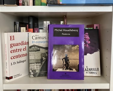 Novelas con antihéroes