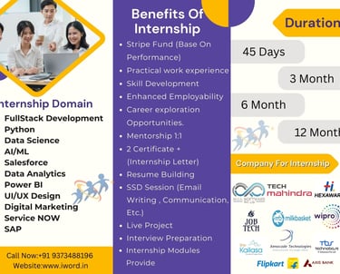Software Internship In IT