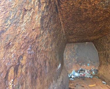 Compactor cleaning in Federal Way WA