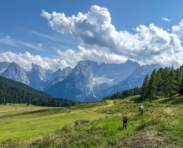 vista sulle Dolomiti - Cadini di Misurina