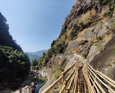 Bamboo Trek