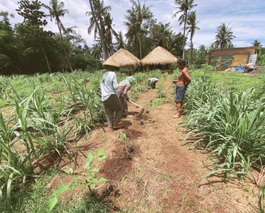 Early development stage of DEJAMA Agroforestry project, showing team members planting diverse crops