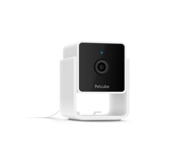 petcube security camera