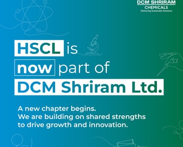 Bondone - Dcm shriram ltd