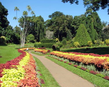 botanical garden of peradeniya