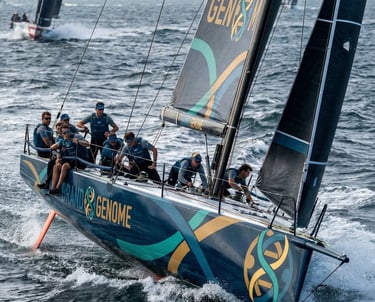 Brand Genome in the regatta. 