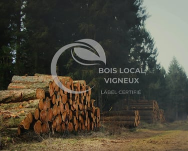 vue de tas de troncs coupés en foret