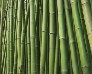 a bunch of green bamboo stalks in a row of bamboo stalks