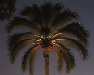 white and black abstract painting