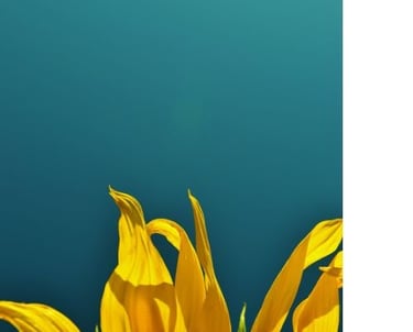 confiance gestion de trésorerie assistante administrative