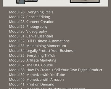 Burnout Business Course – Inside Look with 25 additional modules on social media, affiliate marketing, print on demand, brand