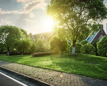 Real-Estate-Photo-Editing-Lawn-Replacement