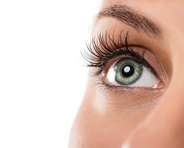 An eyebrow and eyelash