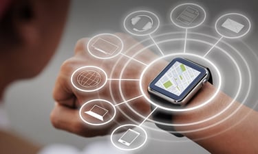 rrjete te integruara