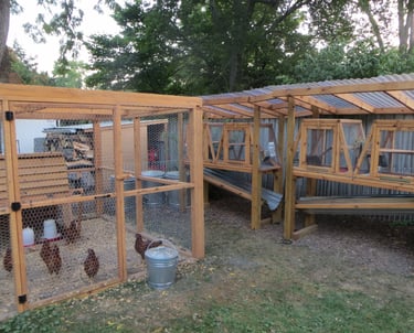 Chickens in a coop and Rabbits in a hutch