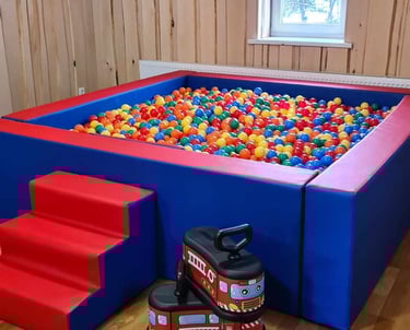 Kamuoliuku baseino nuoma