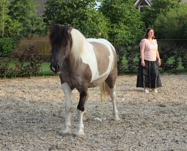 een bruin en wit paard die met zijn rug staat naar een vrouw in een rok