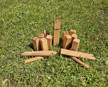 TOŠIS žaidimų nuoma šventėms Klaipėdoje