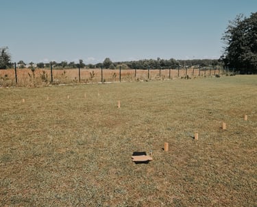 TOŠIS žaidimų nuoma šventėms Klaipėdoje