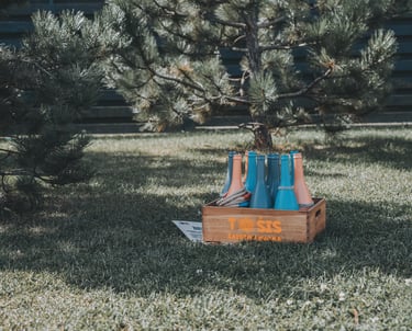 TOŠIS žaidimų nuoma Klaipėdoje - vestuvėms, gimtadieniams, krikštynoms