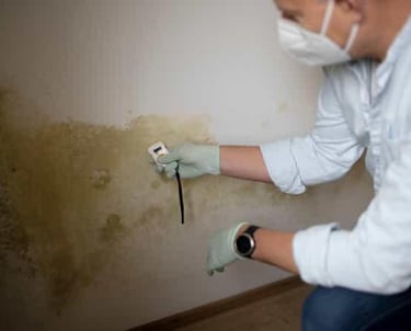 Professional mold inspector using a moisture meter to test a damp wall for toxic black mold growth.