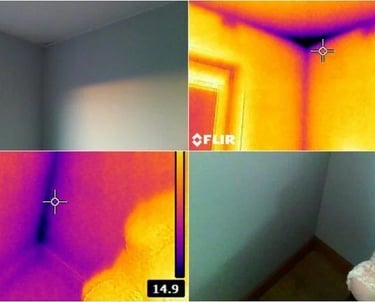 Drėkstančių vietu aptikimas