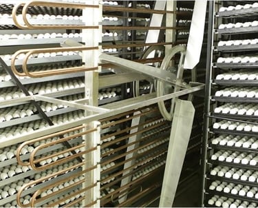 Tavuk üretim çiftlikleri Kesimhaneler Kuluçkahaneler Yemleme ve taşıma hatları