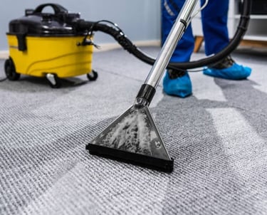 nettoyage tapis gris par Le Roux Auto Clean