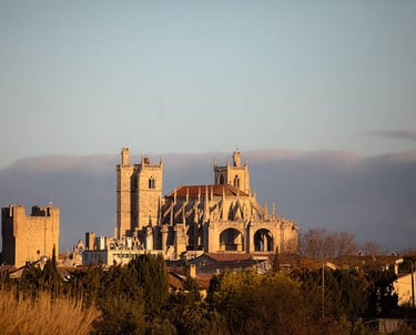cathédrale de Narbonne