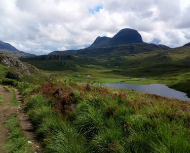 Natural capital