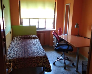 Cama y ventana de la habitación