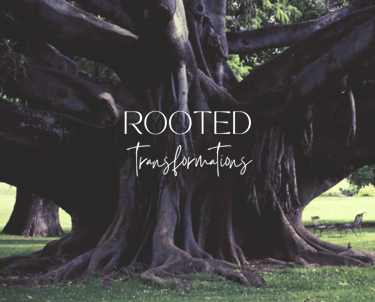 picture of a large trunk and roots of a tree, with text that says rooted transformations.